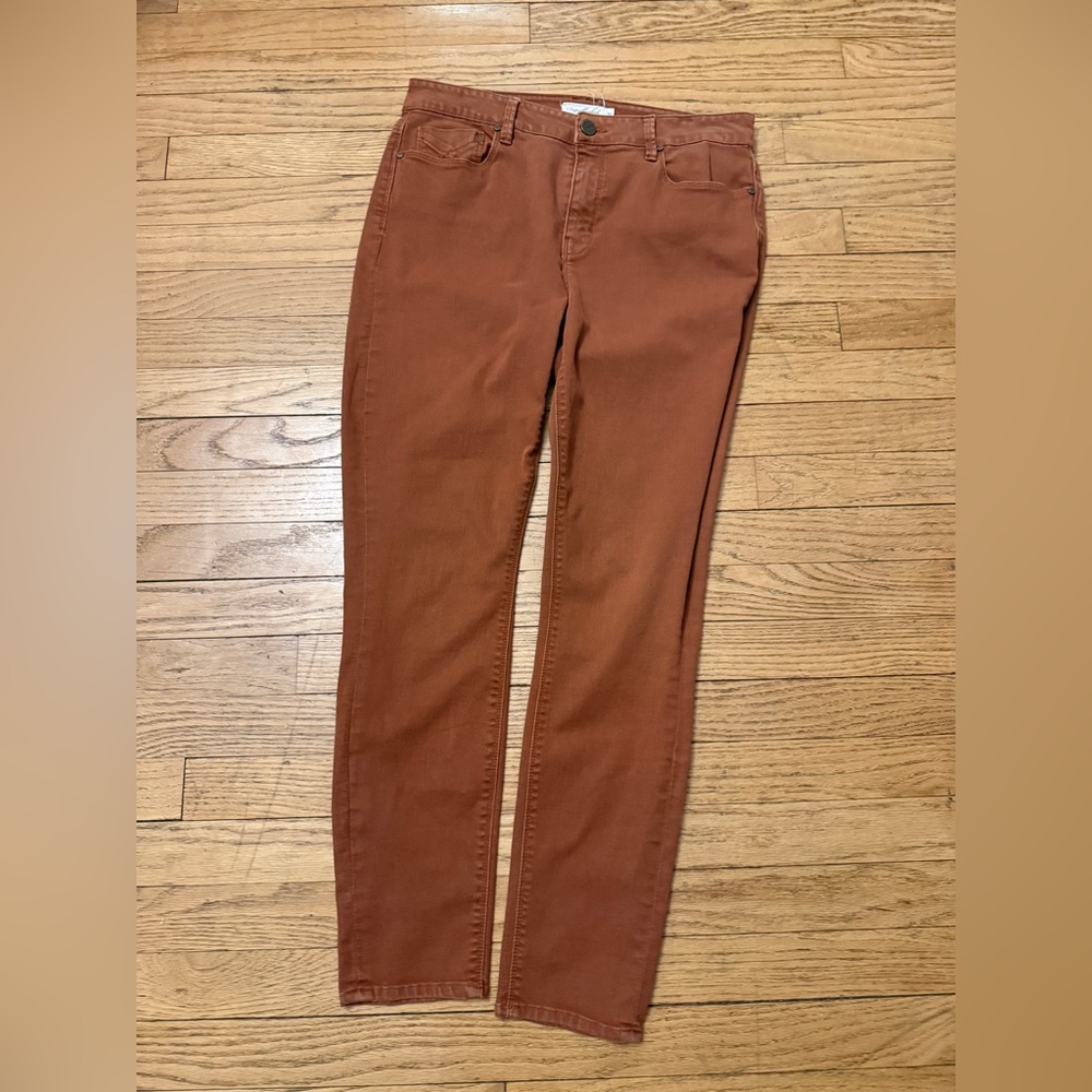 Unpublished Skinny Jeans – Rust Brown – Size 30 (US 10) – Excellent Condition